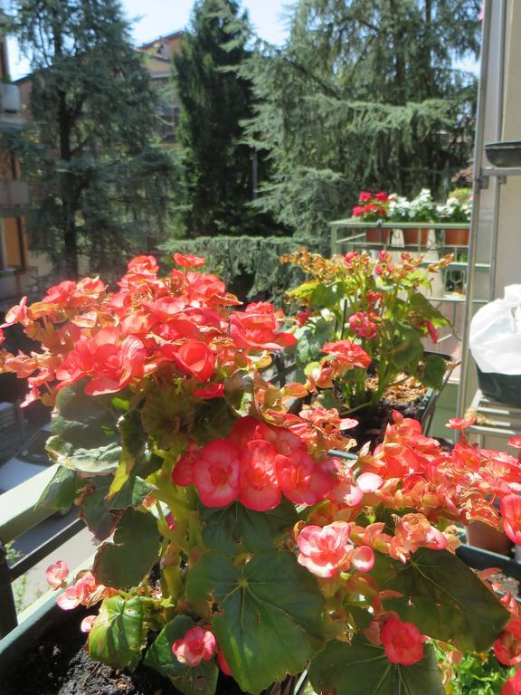 B&B Casa Patavina 파도바 외부 사진